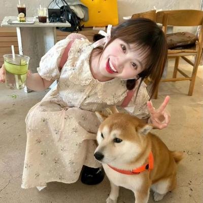 胡桃夹子
